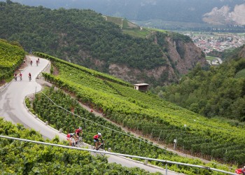 Cyclo des Vins du Valais