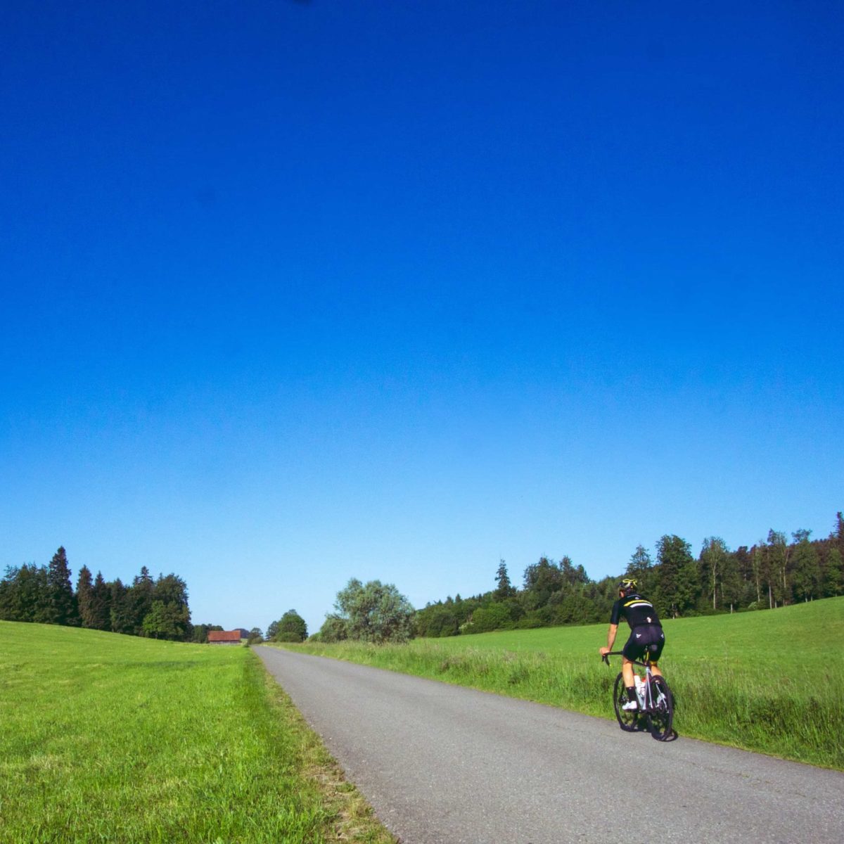 Entre Léman et Gruyère à vélo de route
