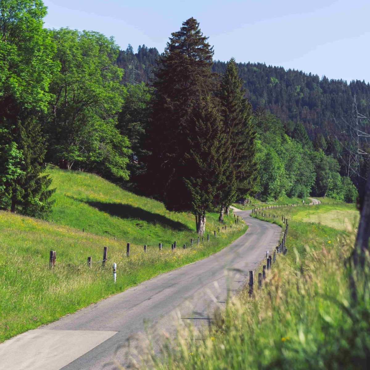 Entre Léman et Gruyère à vélo de route