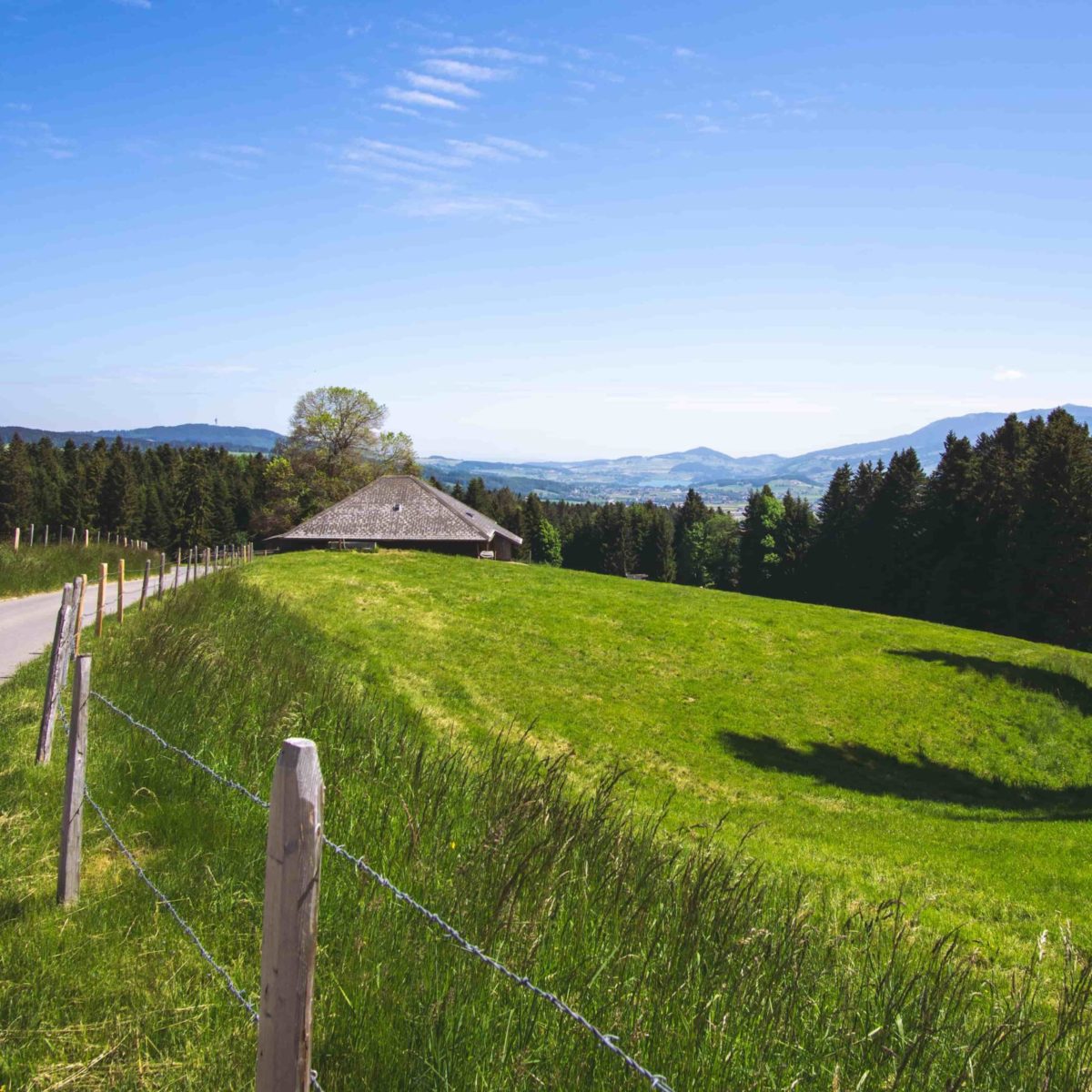 Entre Léman et Gruyère à vélo de route