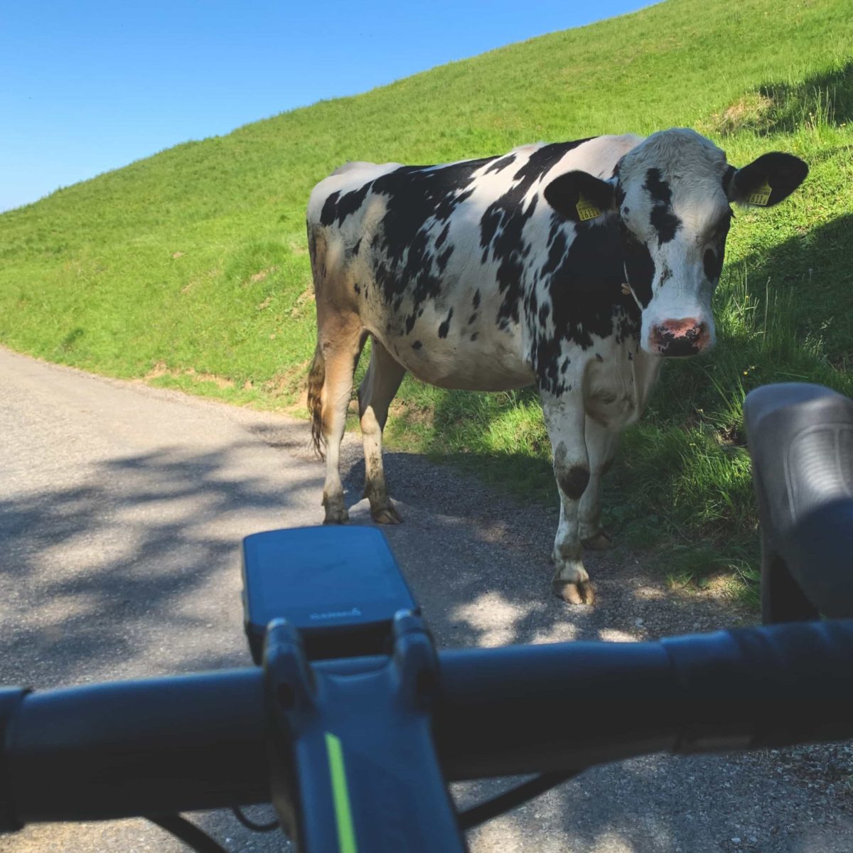 Entre Léman et Gruyère à vélo de route