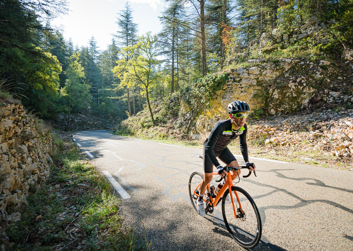 Ventoux region-08619