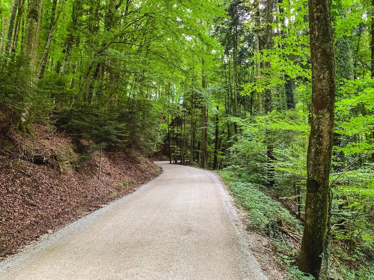 Berne gravel IMG_2360