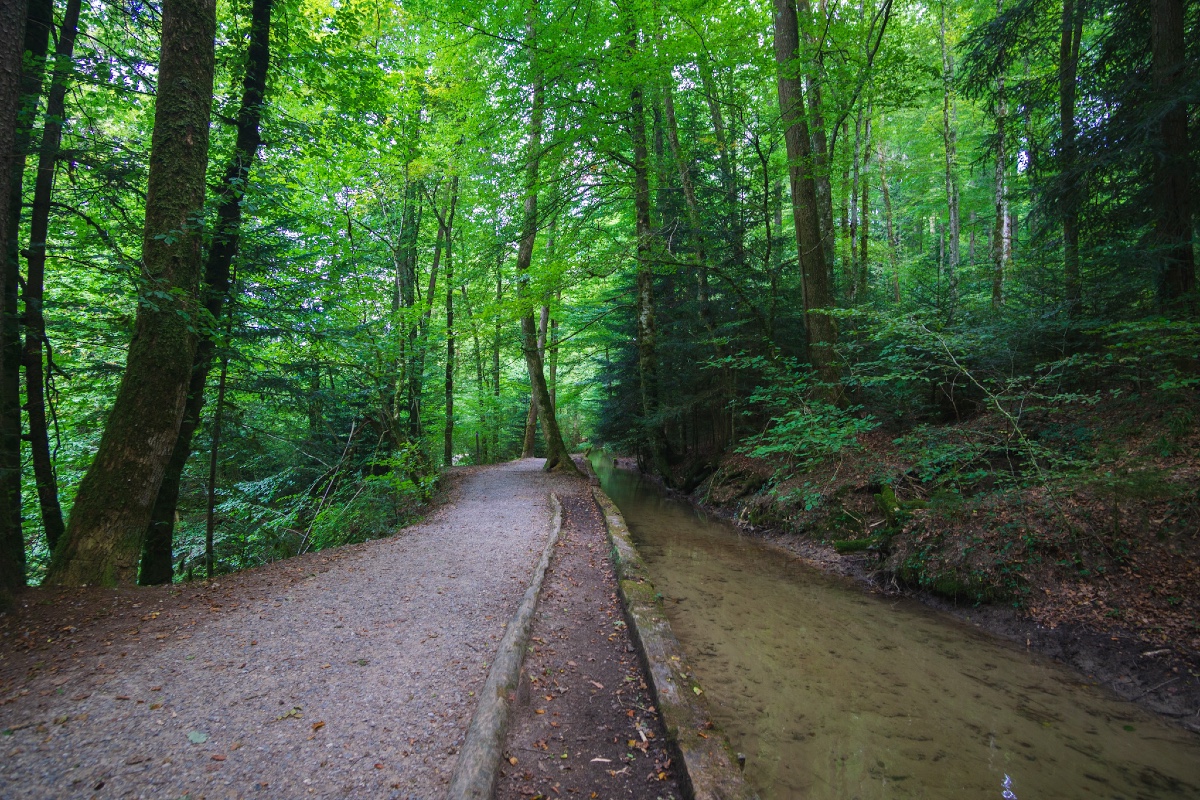 Berne gravel IMG_2363
