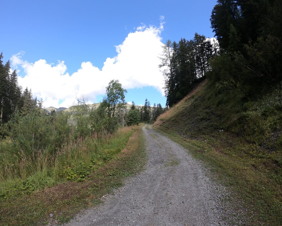 GOPR3359_web
