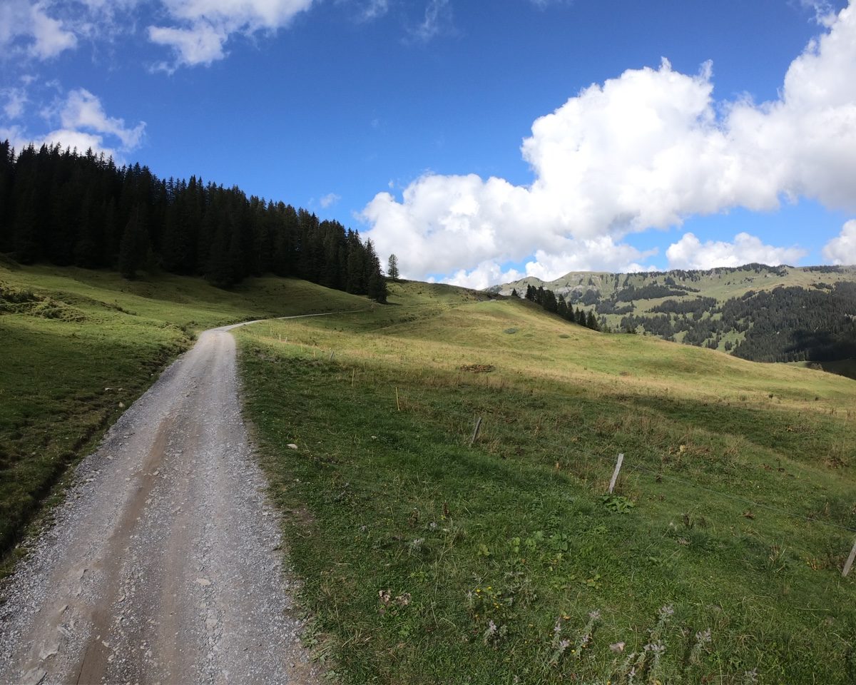 GOPR3376_web