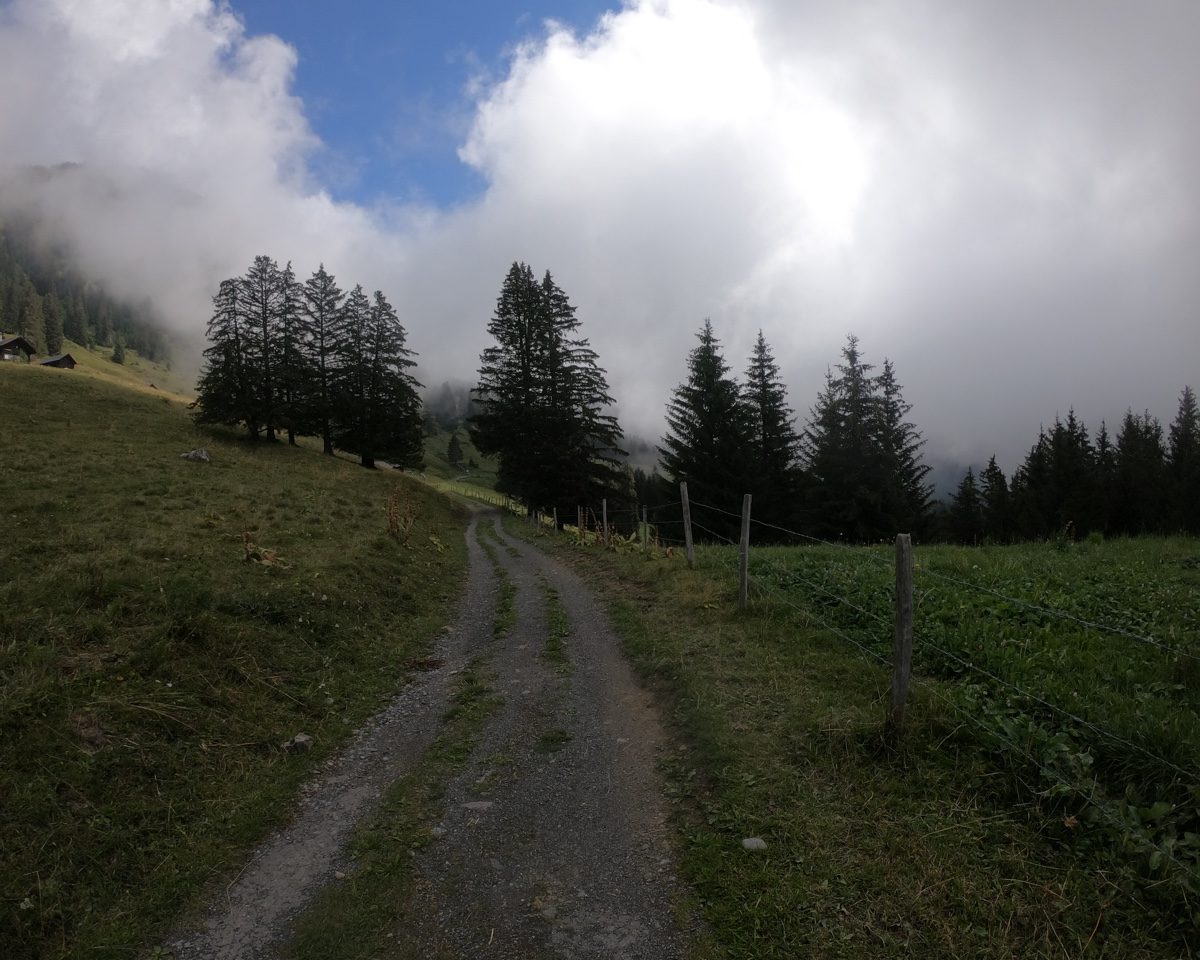 GOPR3387_web