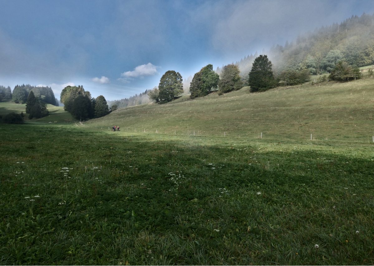 Vallée de Joux_1