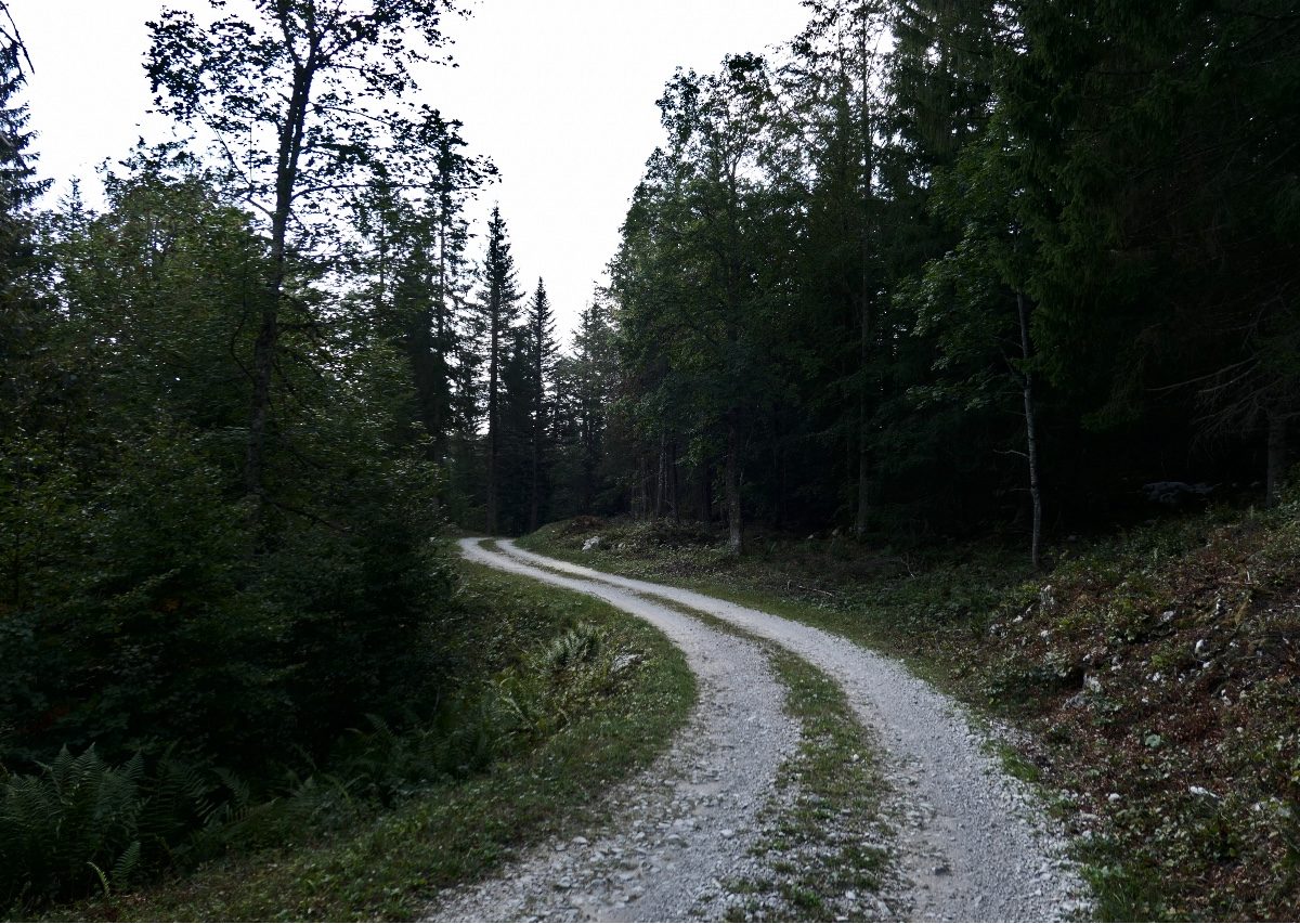 Vallée de Joux_16