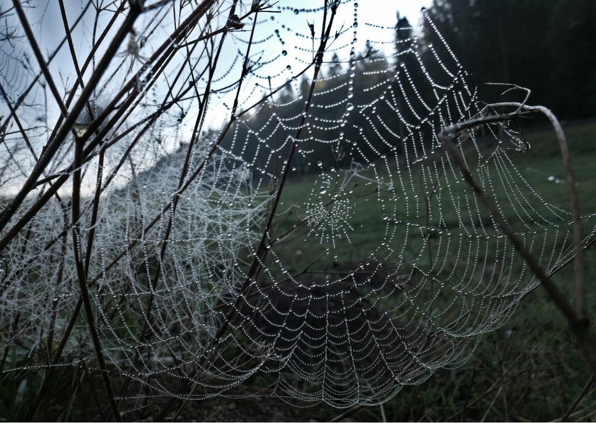 Vallée de Joux_20