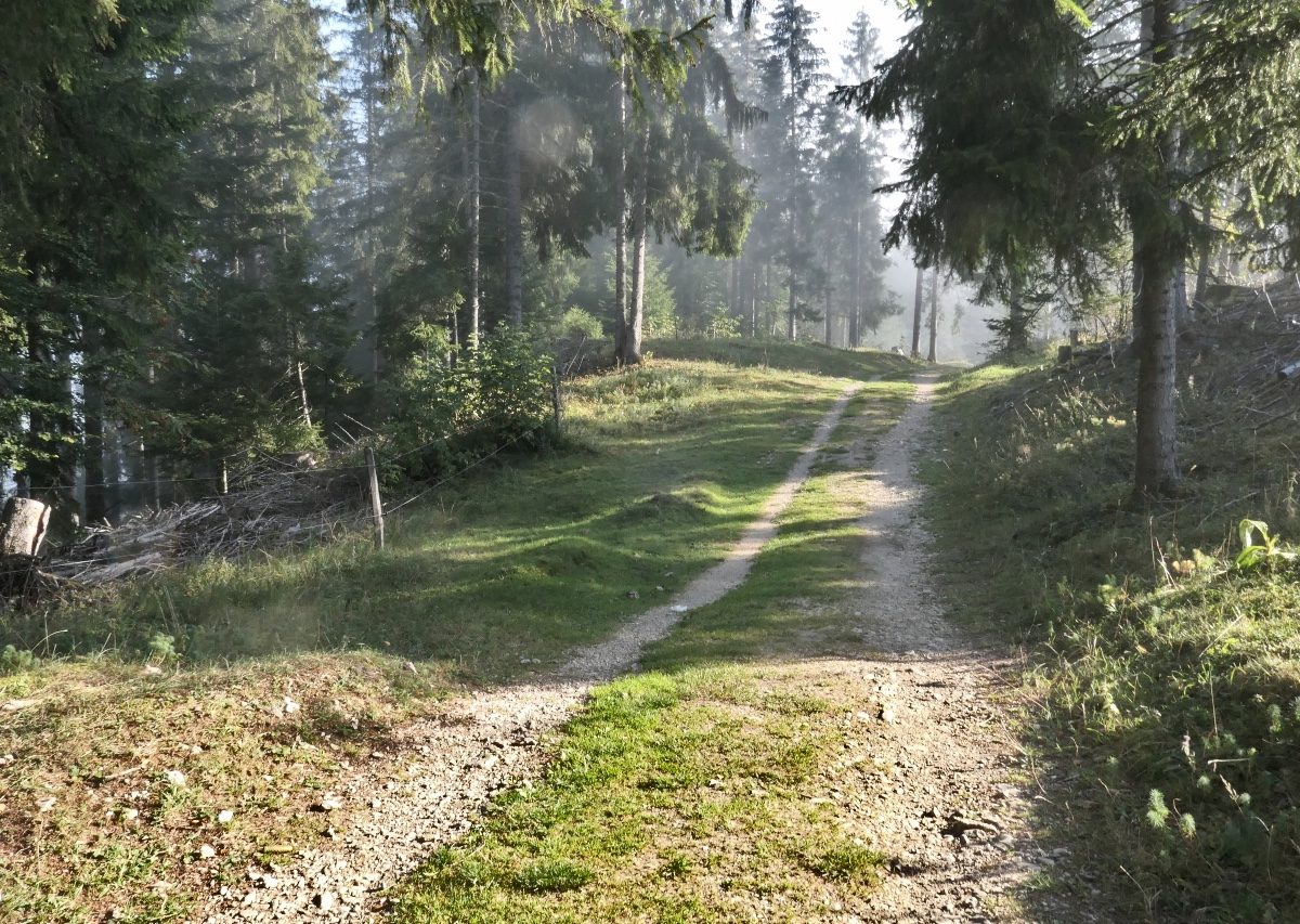 Vallée de Joux_22