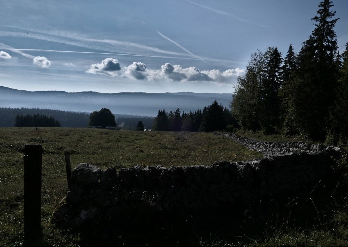 Vallée de Joux_8