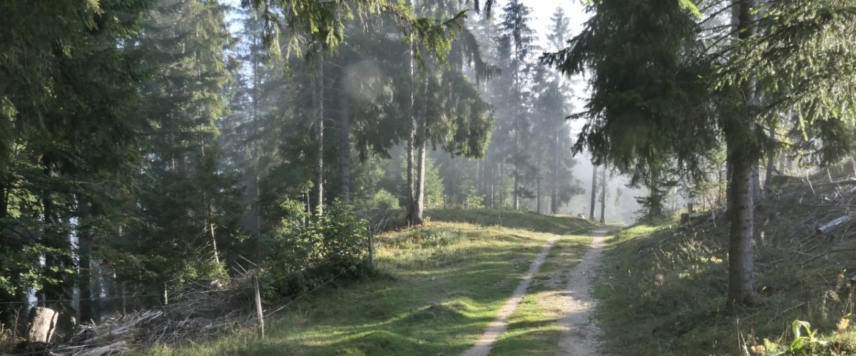 Vallée de Joux_header