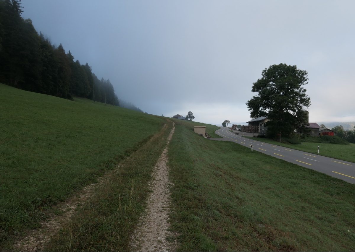 Vallée de Joux gravel Mont Tendre 14