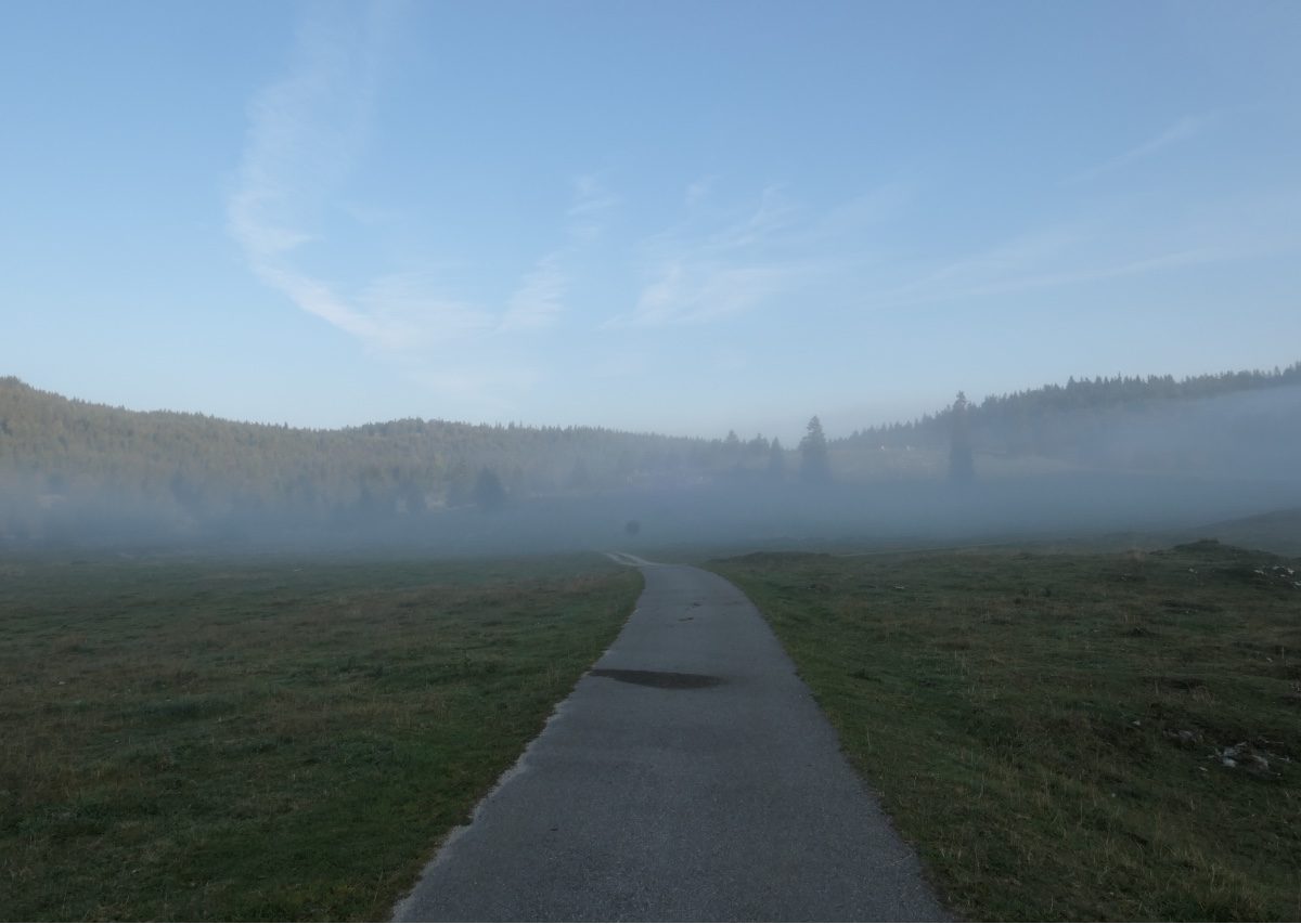 Vallée de Joux gravel Mont Tendre 5