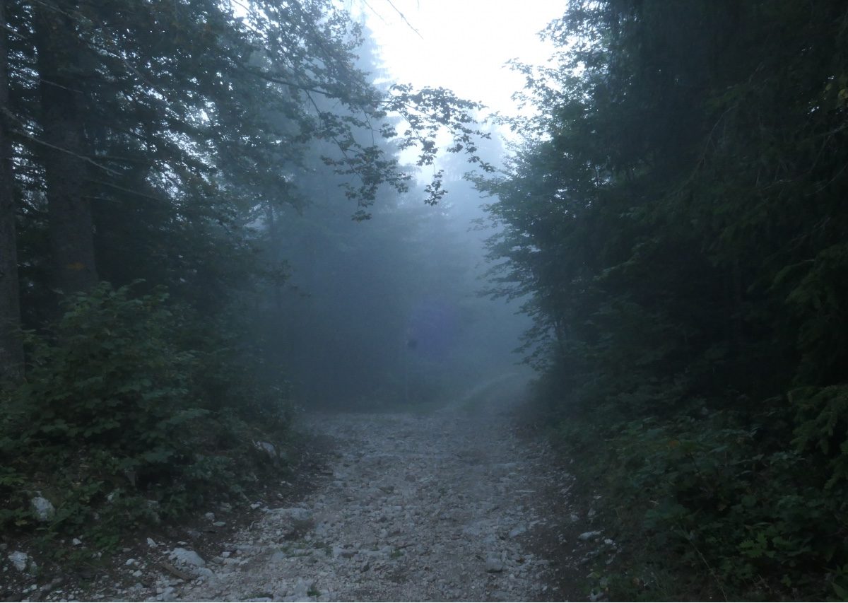 Vallée de Joux gravel Mont Tendre 2