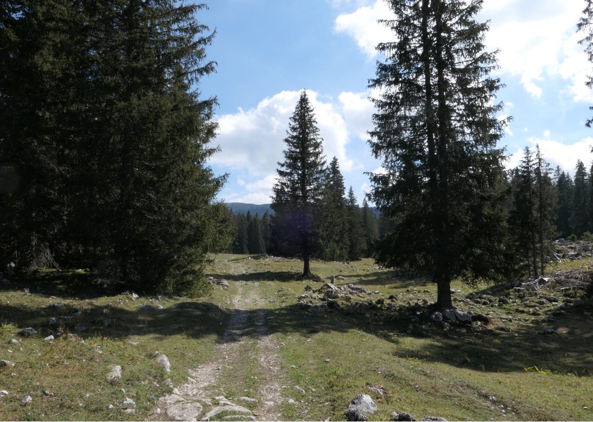 Vallée de Joux gravel Mont Tendre 9