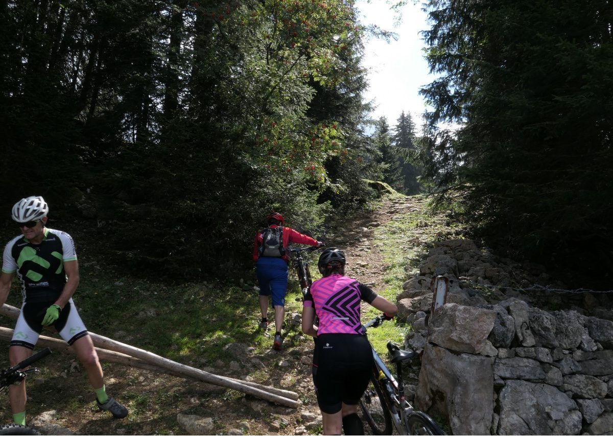 Vallée de Joux gravel Mont Tendre 8