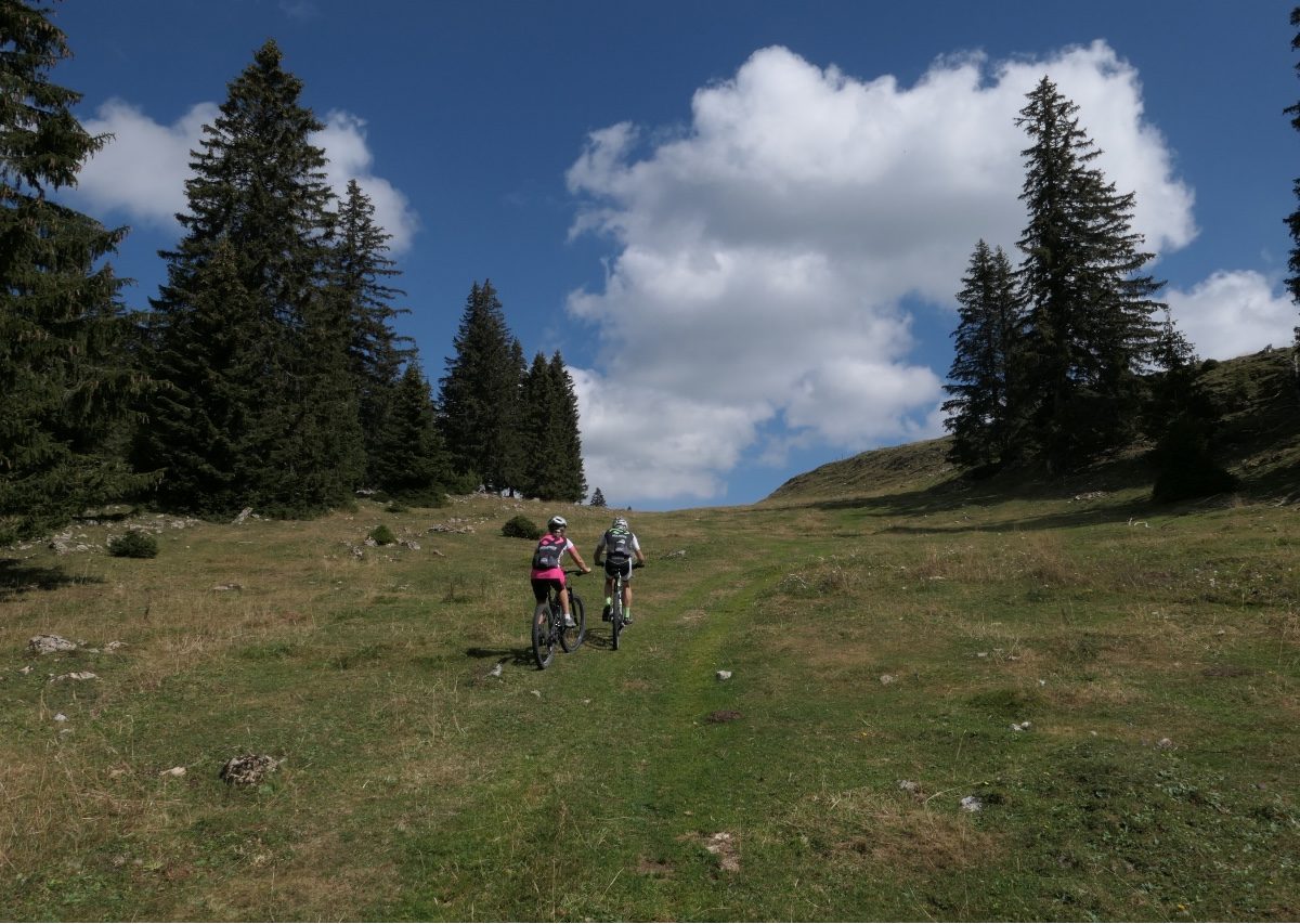 Vallée de Joux gravel Mont Tendre 7