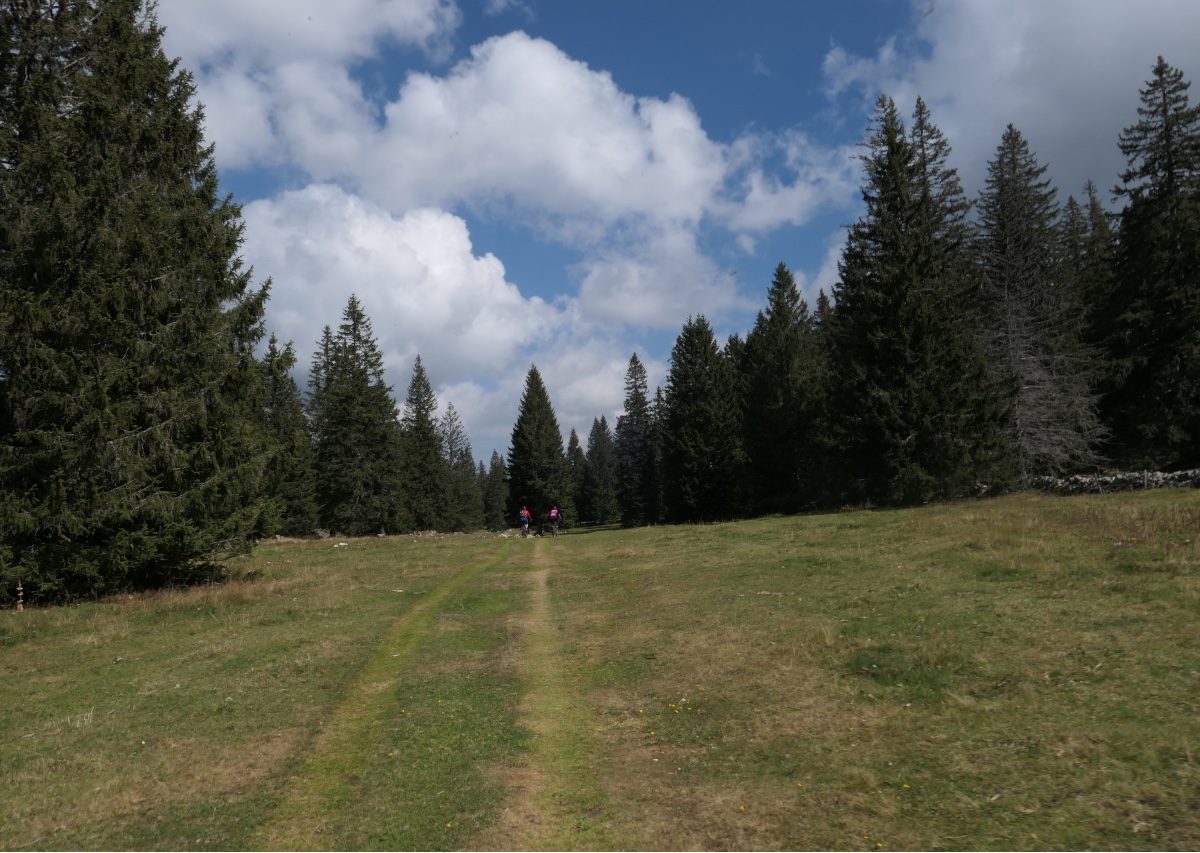 Vallée de Joux gravel Mont Tendre 6