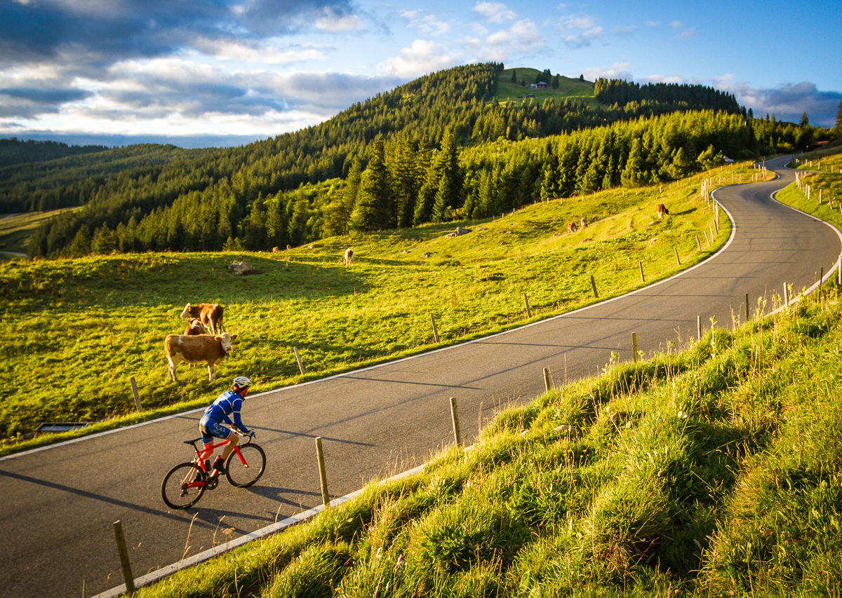 One male cyclist climbing Gurnigelpass at sunset in Kanton Bern, Switzerland