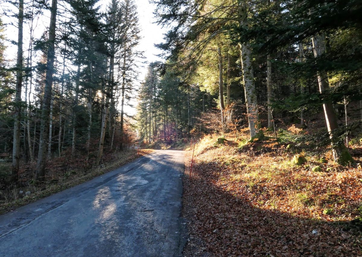 St-Cergue-2