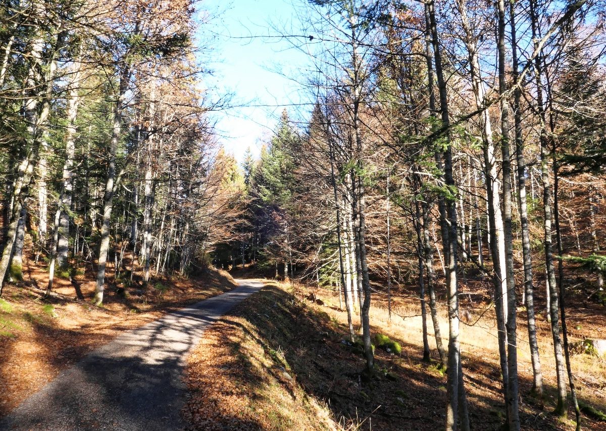 St-Cergue-4