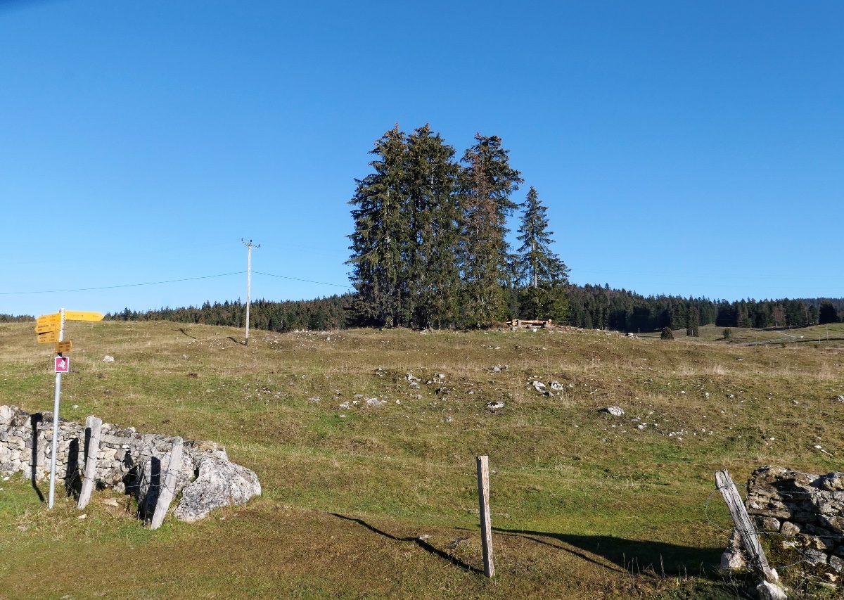 St-Cergue-5