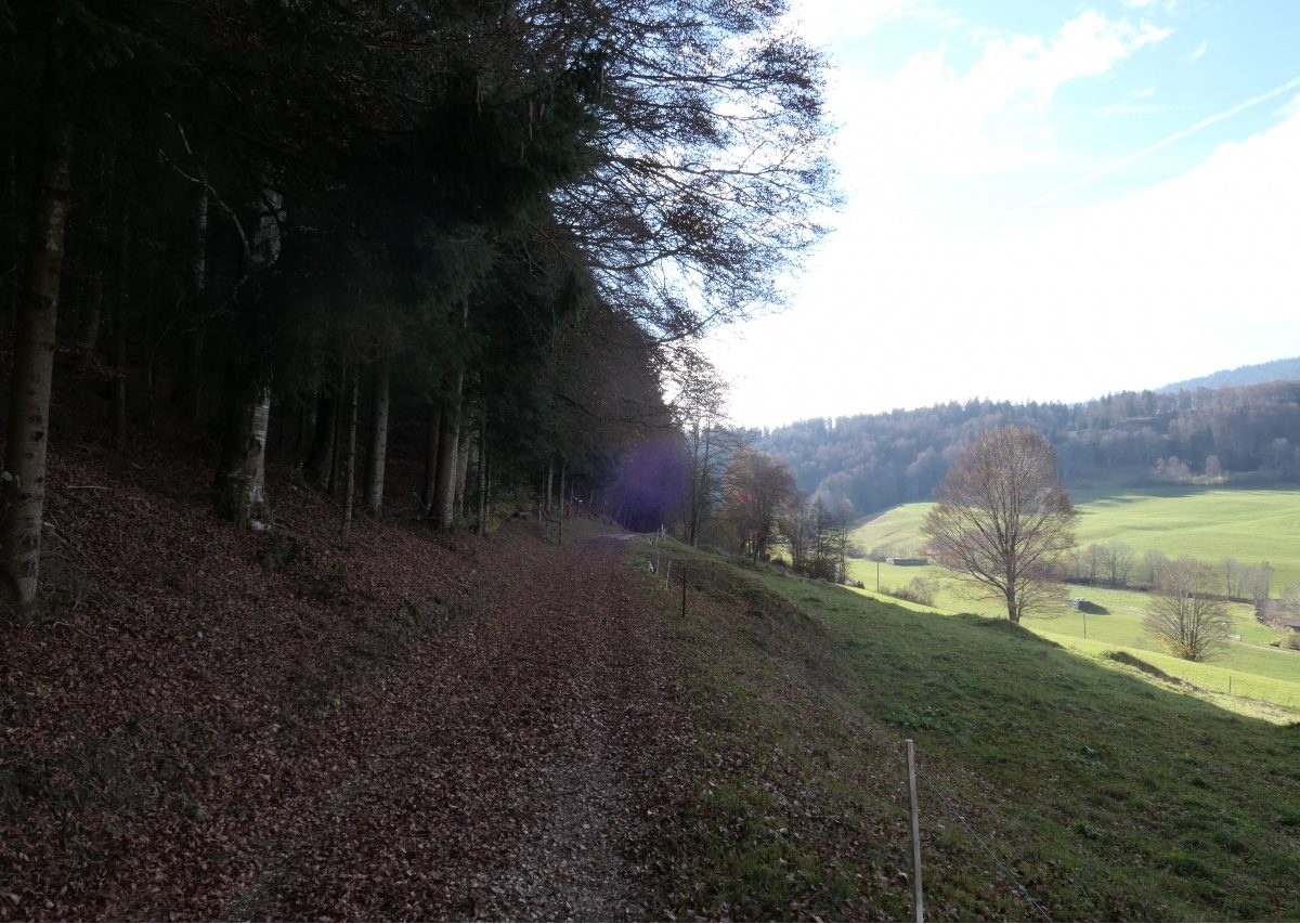 Dent de Vaulion 10