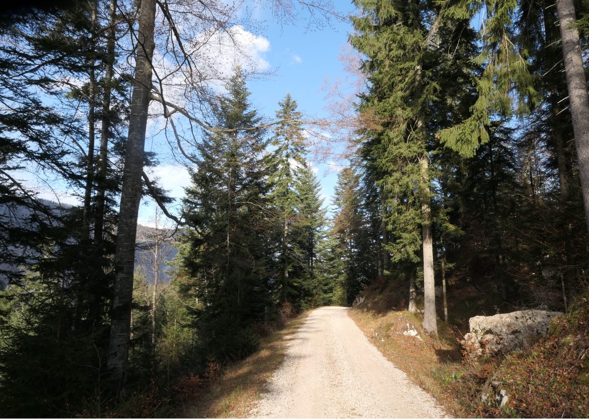 Dent de Vaulion 14