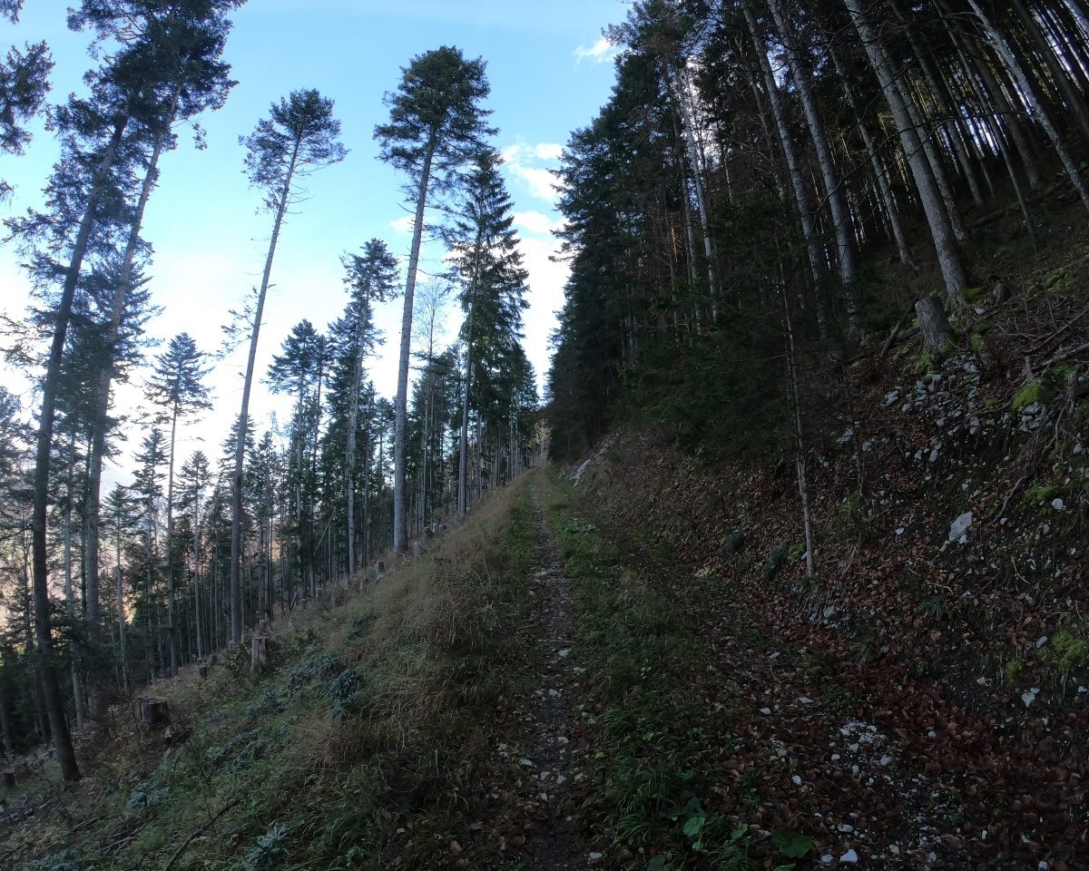 Dent de Vaulion 2