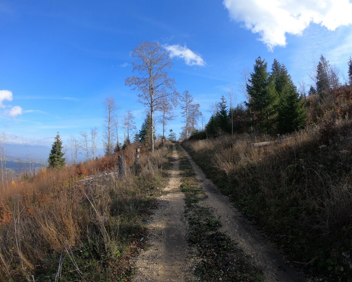 Dent de Vaulion 3