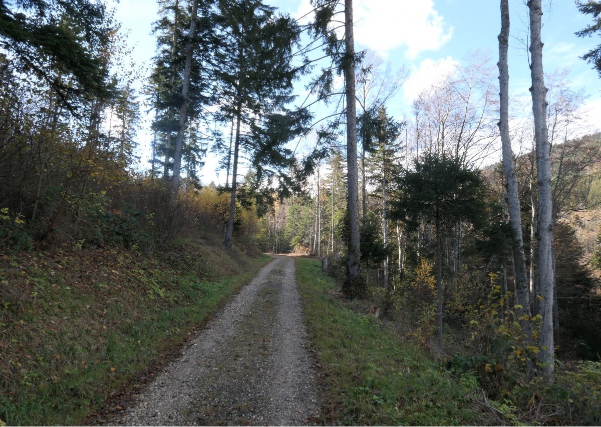 Dent de Vaulion 7