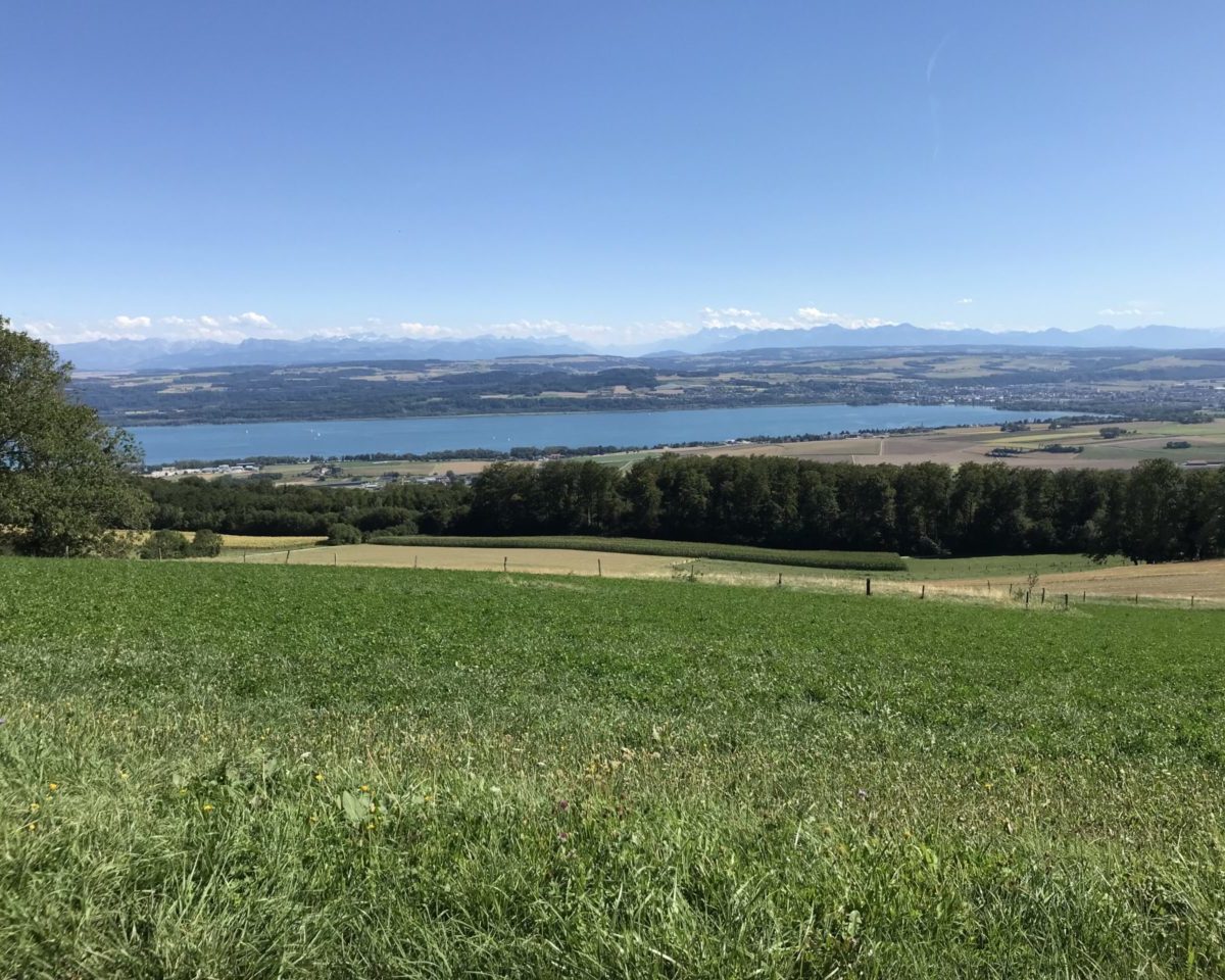 VCOC_Jura_IMG_6661