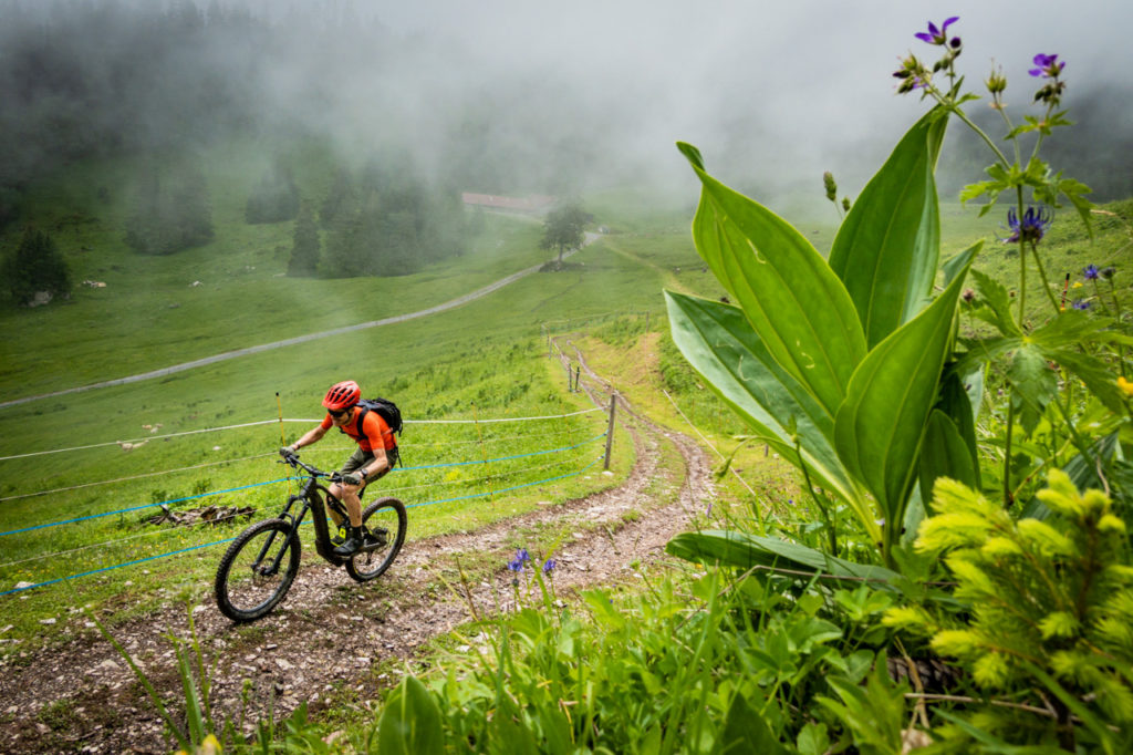 Torgon e-bike park