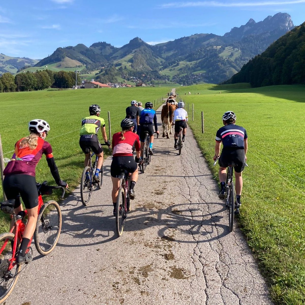 Tour de gruyere_Linda_8