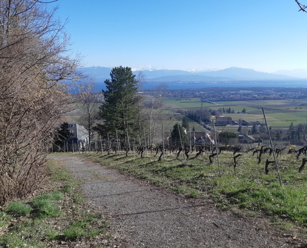 Le secteur Gravel de la sortie, long de 50m, il vous forcera peut-être à poser pied à terre.