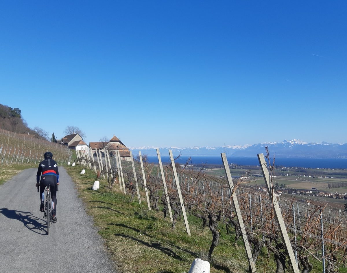 Le défi des Vignes_2