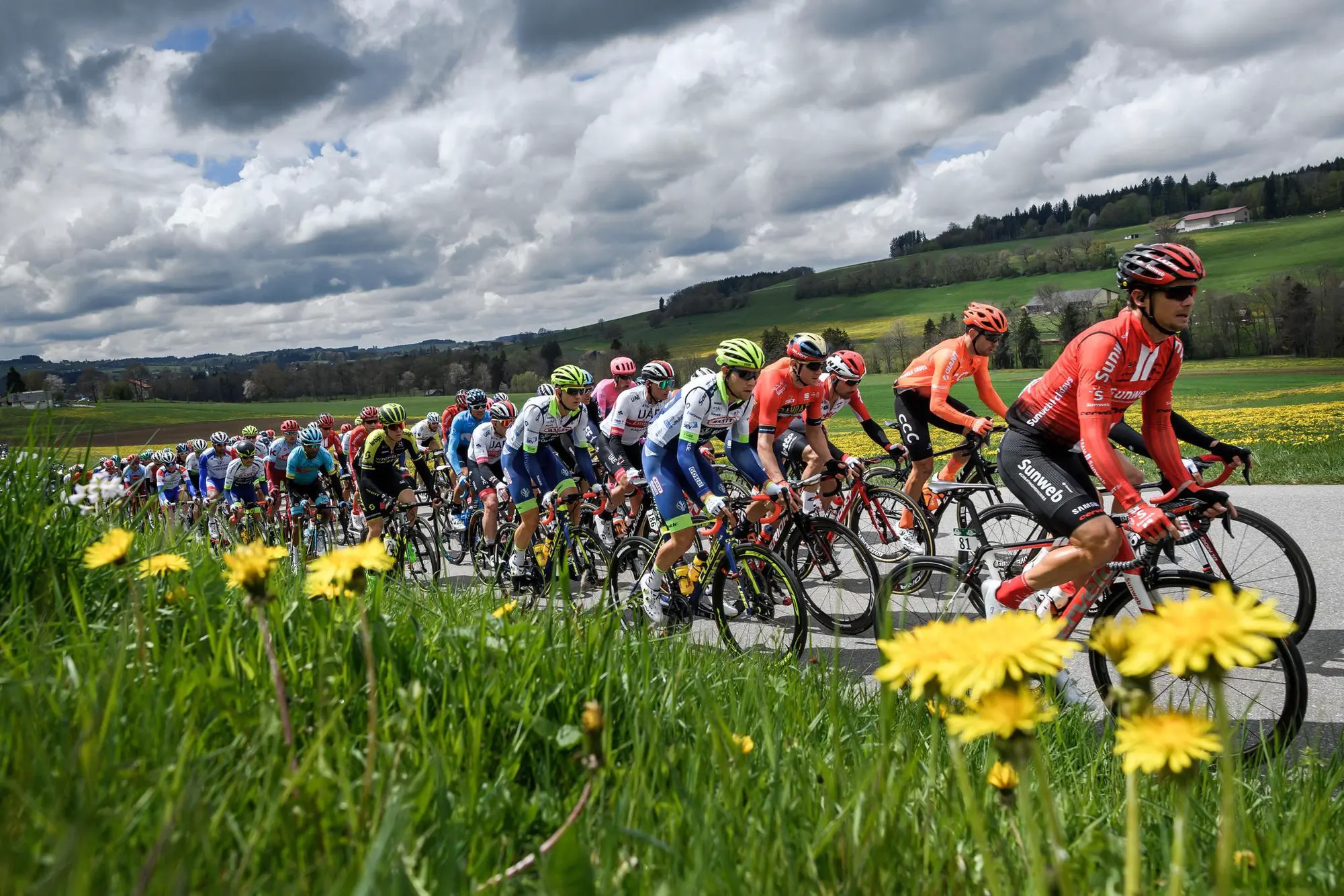 Tour de Romandie Année du Vélo