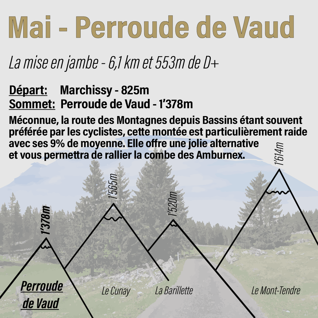 Inalpe du Cycliste Perroude de Vaud