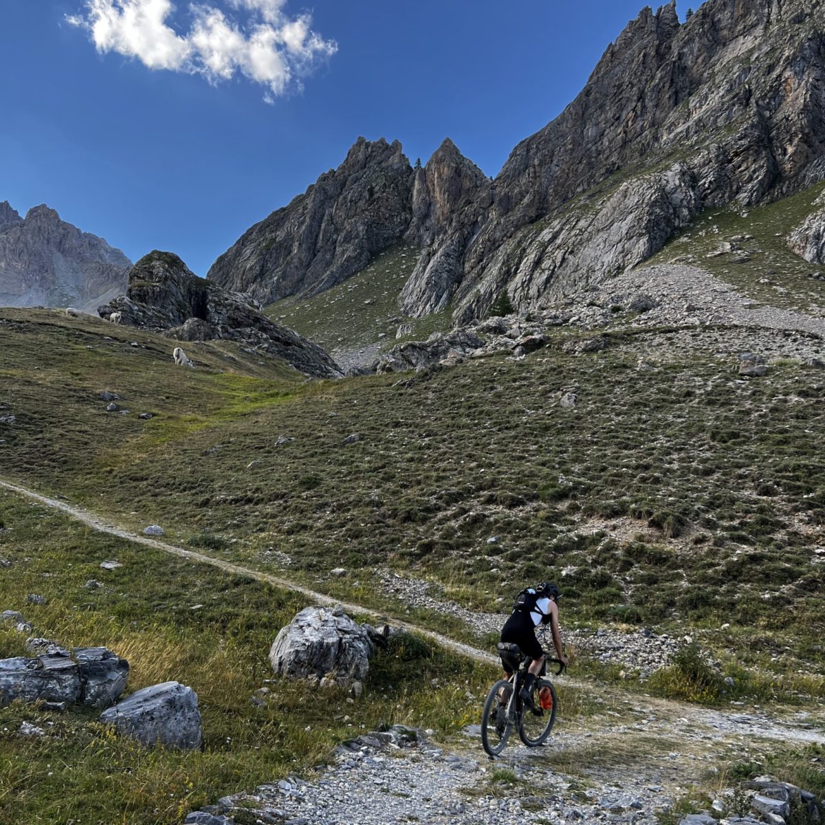 20k_ultratrail_12