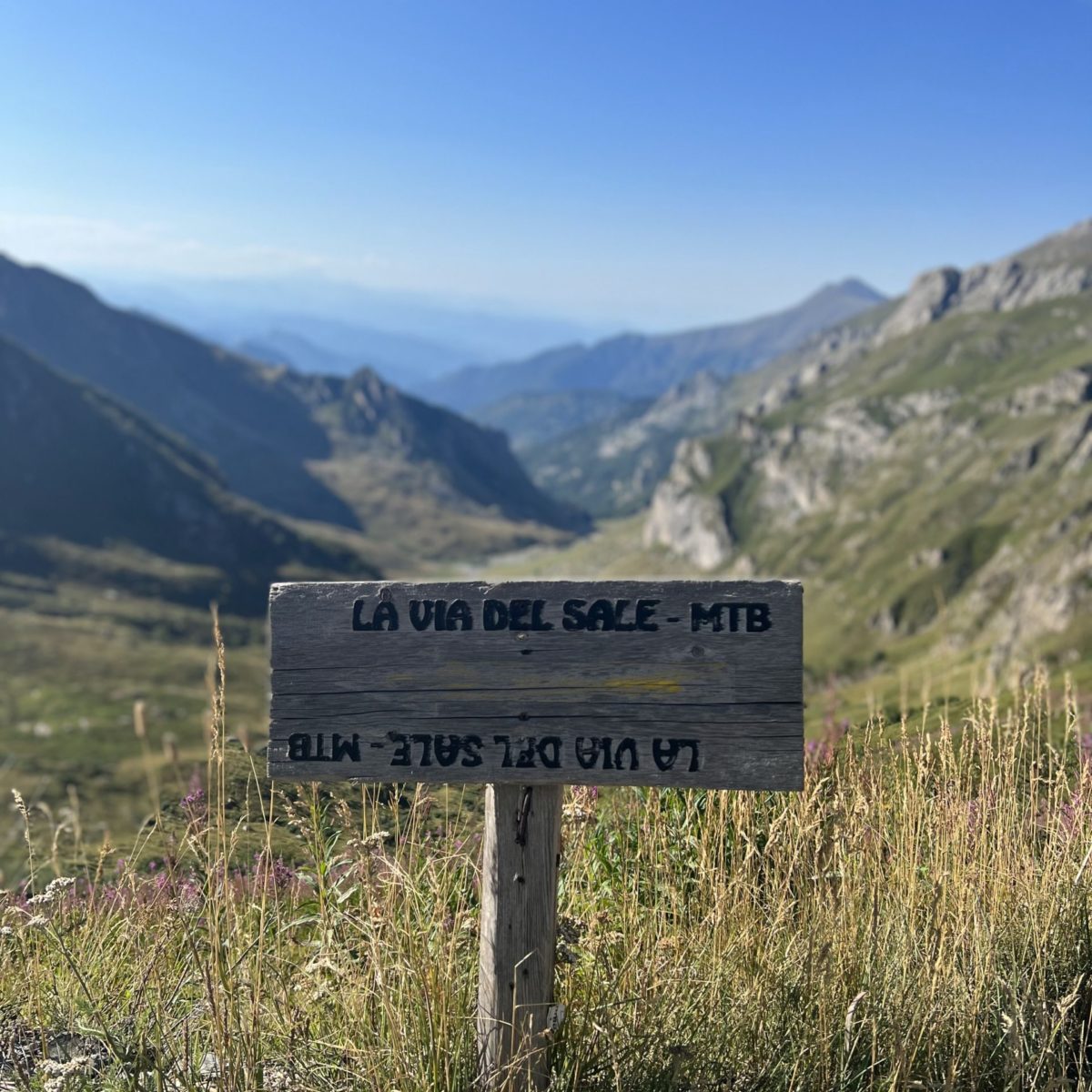 20k_ultratrail_8