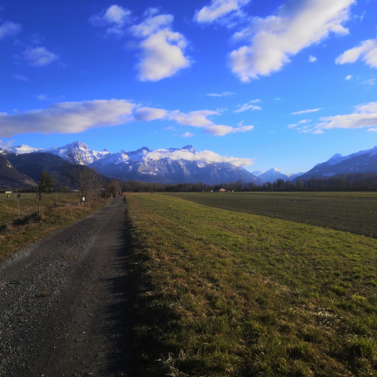 Tour du Chablais gravel