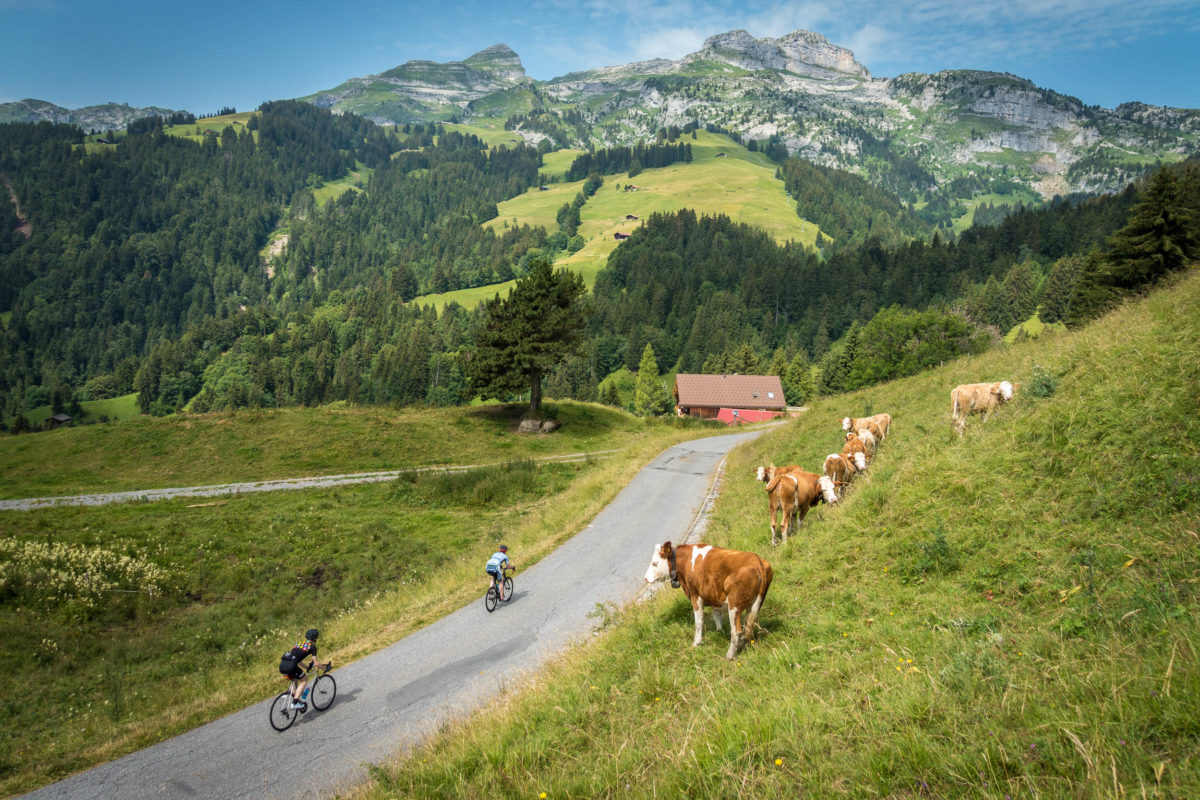 Gstaad NEO Bergkönig