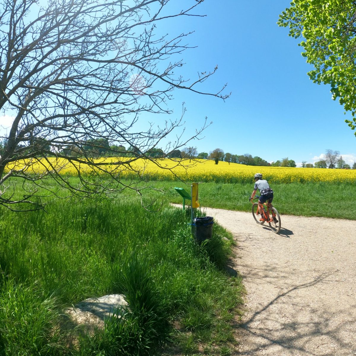 MontMourex8