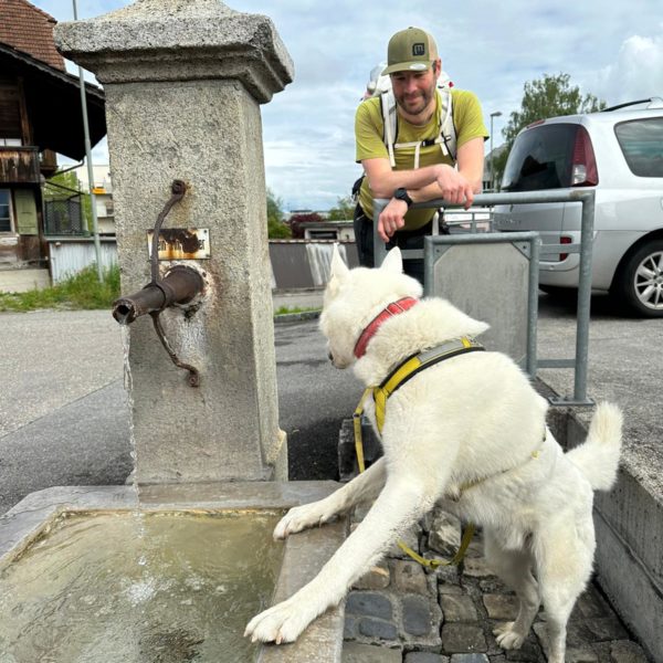 gerard et chien profile