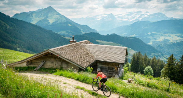 Alpes Vaudoises gravel