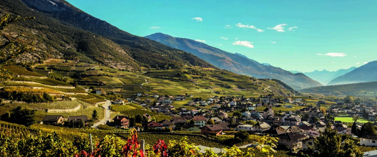 Schweiz. ganz natuerlich.                                       Morgenstimmung in den herbstlichen Rebbergen von Salgesch.