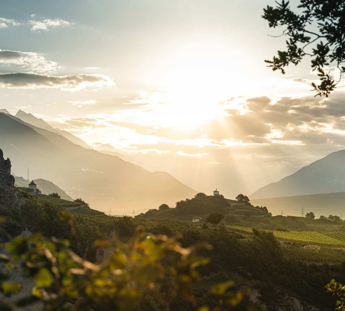 2019_Pfyn_50_©Valais Wallis Promotion - Christian Pfammatter