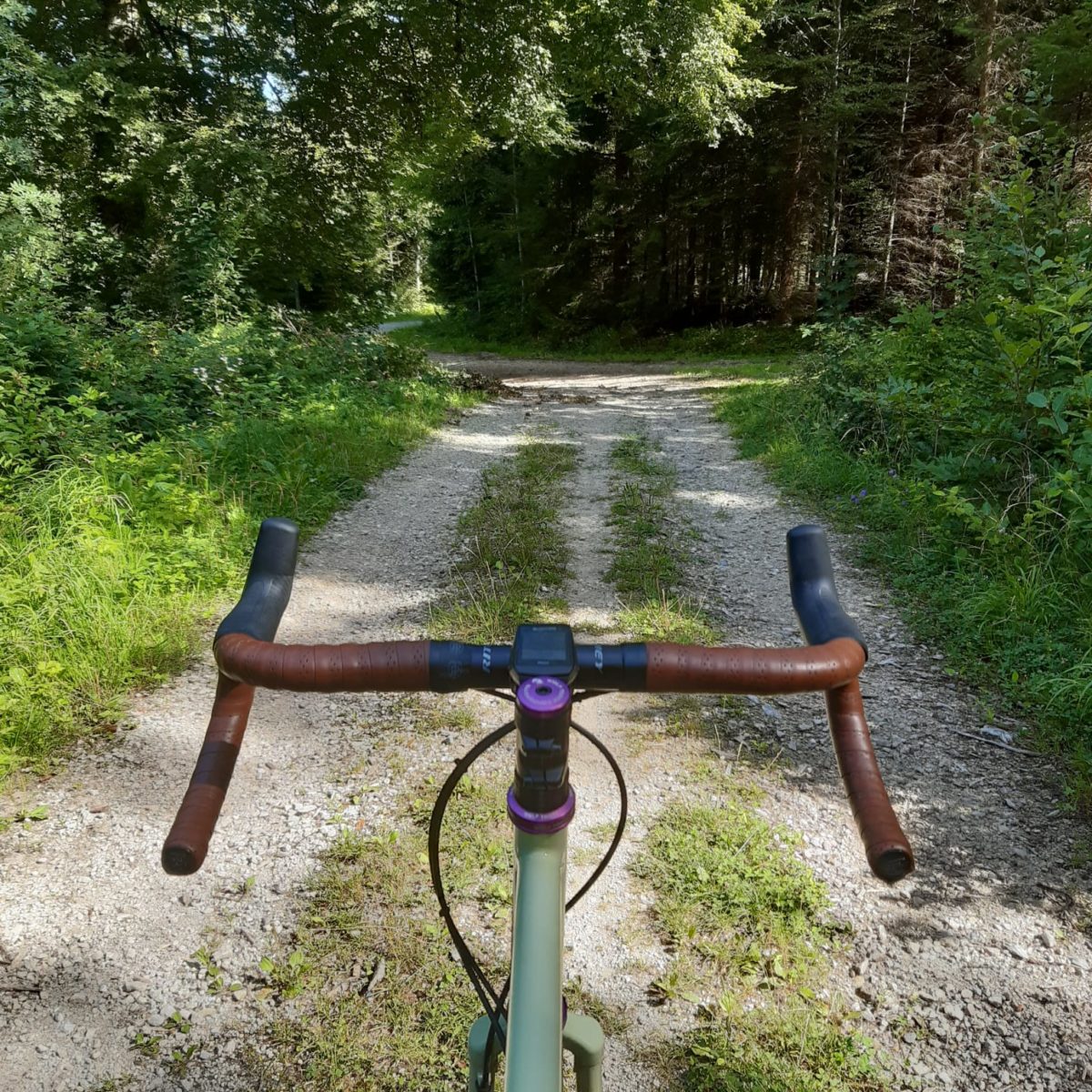 Bois de jorat gravel 3